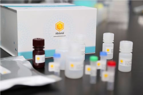 Kit de prueba ELISA - RK04149 - ABclonal Technology - para la investigación / de anticuerpos neutralizantes / de cobre