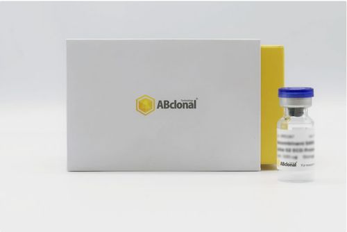 Reactivo antígeno recombinante - RP01260LQ - ABclonal Technology - para la investigación / SARS-COV-2