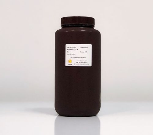 Reactivo proteinasa K - RP02503 - ABclonal Technology - para la investigación / liofilizado / en polvo
