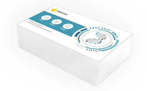 Reactivo enzima - RK20302 - ABclonal Technology - de preparación de bancos de ARN / para preparación de pruebas / de Fungi