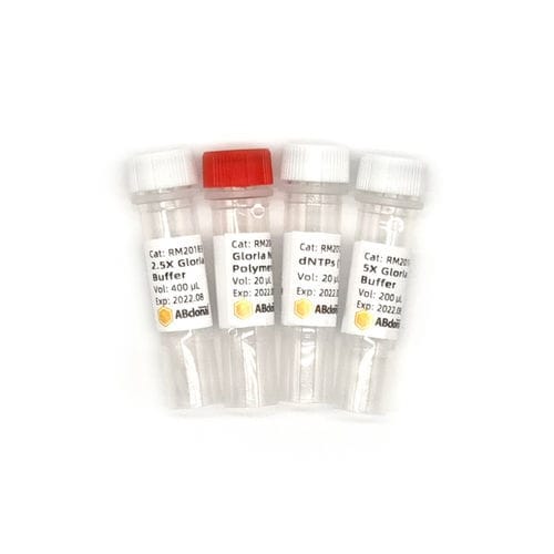 Reactivo ADN polimerasas - RK20714 - ABclonal Technology - polimerasa Taq / para PCR