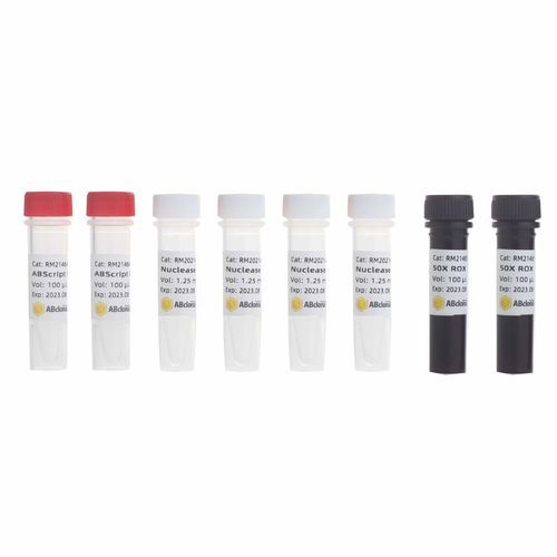 Kit de reactivos polimerasa Taq - RK20407 - ABclonal Technology - solución tampón / colorante / de RT-qPCR