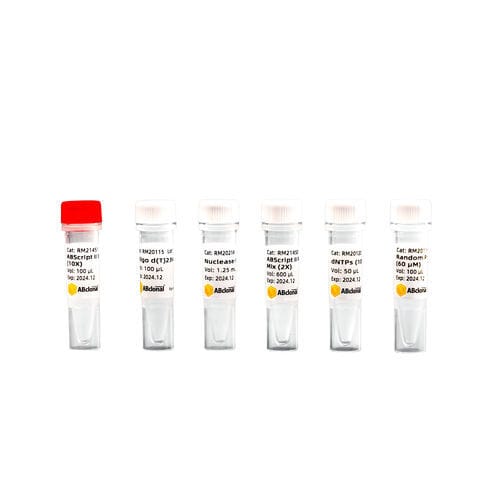 Reactivo retrotranscriptasa - RK20400 - ABclonal Technology - para RT-PCR / para síntesis de ADNc
