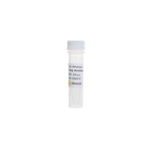 Reactivo anticuerpo monoclonal - RK20545 - ABclonal Technology - polimerasa Taq / para PCR / de arranque en caliente