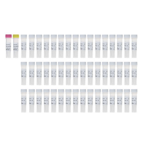 Medio reactivo - RK20294 - ABclonal Technology - para PCR / para secuenciación de nueva generación / de hibridación