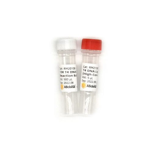 Reactivo solución tampón - RK21500 - ABclonal Technology - ADN ligasa / para microbiología / de fosfato