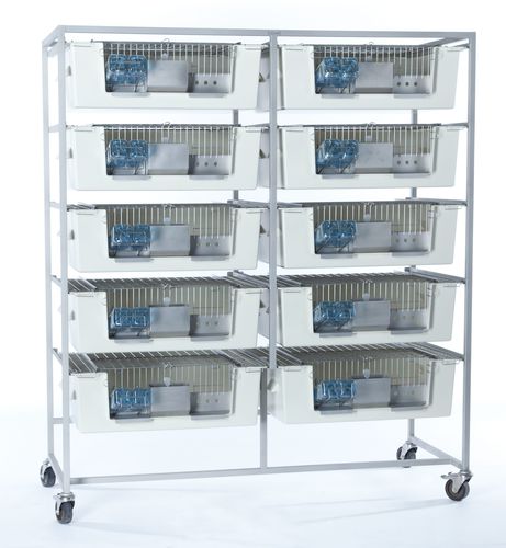 Jaula para la experimentación animal para cobayas - 5053101S - Zoonlab GmbH - modular / 10 compartimentos / de acero inoxidable