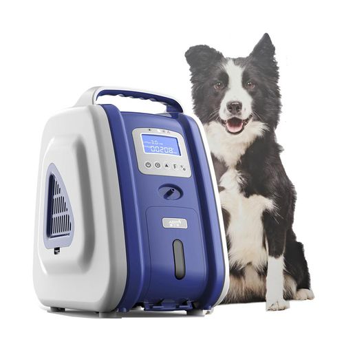 Concentrador de oxígeno veterinario - AM-3 - Shenyang Aerti Tech - para asistencia domiciliaria / portátil / compacto