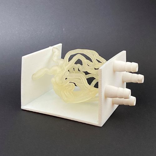 Modelo vascular de vasos sanguíneos - Schiner3DRepro - para cirugía vascular / de formación
