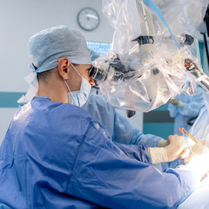 Software de visualización 3D - softgate gmbh - de planificación / médico / clínico