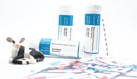 Prueba rápida veterinaria - BCex - Ring Biotechnology Co Ltd. - para la seguridad alimentaria / clínica / para leche