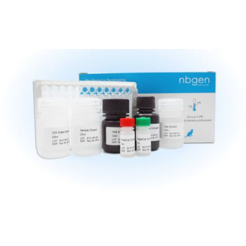 Kit de prueba veterinario - KE0011 - Ring Biotechnology Co Ltd. - para perro / para gatos / para anticuerpos