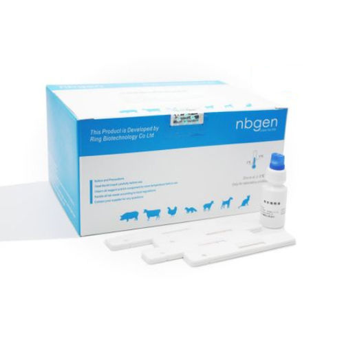 Prueba rápida veterinaria - C30011 - Ring Biotechnology Co Ltd. - para porcinos / para anticuerpos / de sangre