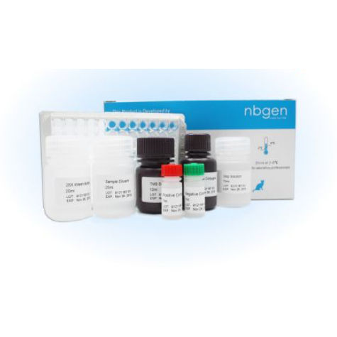 Prueba rápida veterinaria - E39011 - Ring Biotechnology Co Ltd. - para porcinos / para anticuerpos / de suero
