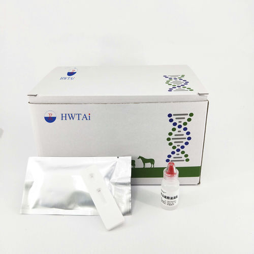 Kit de prueba de brucelosis - HWTAi - para animales / para ganado caprino / para bovinos