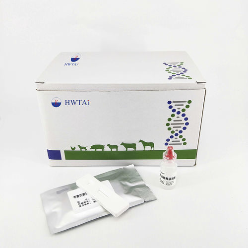 Prueba rápida para enfermermedades infecciosas - TRI Ab - HWTAi - de tricomoniasis / para porcinos / para anticuerpos