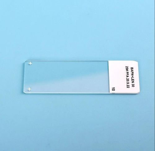 Portaobjetos para inmunohistoquímica - HWTAi - hidrofílico / adhesivo
