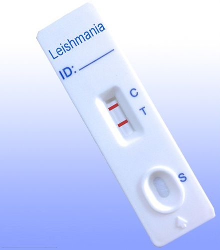 Prueba rápida de Leishmania - ILE-402 - HWTAi - de leishmaniasis / de serología / de IgG