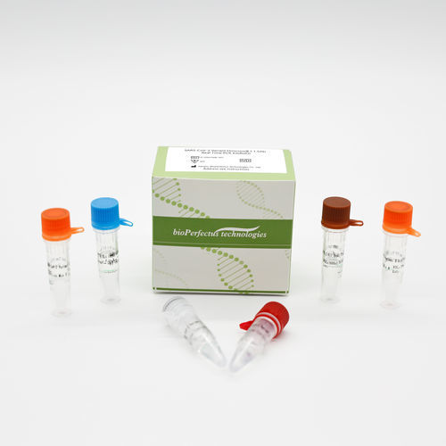 Kit de prueba para la investigación - RUO - Jiangsu Bioperfectus Technologies Co., Ltd. - SARS-COV-2 / nasofaríngeo / de expectoración