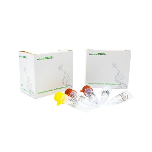 Kit de prueba para COVID-19 - JC10223-1NW - Jiangsu Bioperfectus Technologies Co., Ltd. - para enfermermedades infecciosas / SARS-COV-2 / nasofaríngeo