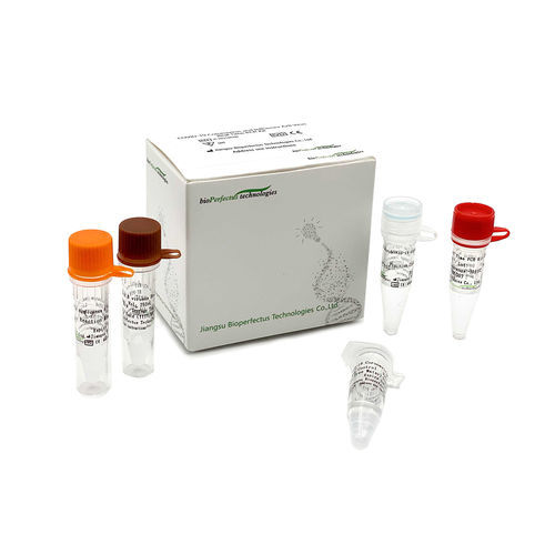 Kit de prueba de enfermedades respiratorias - JC10310-1NW	 - Jiangsu Bioperfectus Technologies Co., Ltd. - SARS-COV-2 / de coronavirus / de influenza A