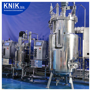Biorreactor de laboratorio - BLBIO -200SJ/SC - KNIK CO.,LTD. - para la fermentación microbiana / para cultivos celulares / esterilizable in situ