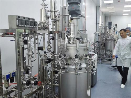 Biorreactor de laboratorio - BIO-XV series - KNIK CO.,LTD. - para el desarrollo de vacunas / compacto