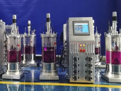 Biorreactor de laboratorio - 136 - KNIK CO.,LTD. - para cultivos celulares