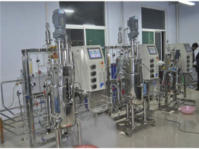 Biorreactor de laboratorio - 85 - KNIK CO.,LTD. - para la fermentación microbiana / de síntesis paralela