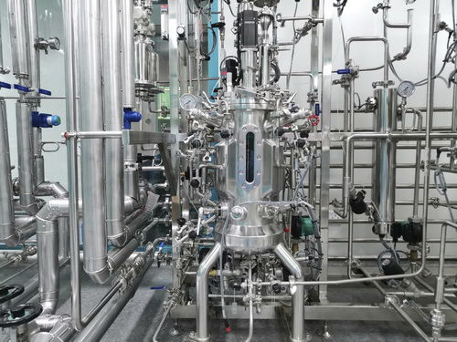 Biorreactor de laboratorio - 219 - KNIK CO.,LTD. - para la fermentación microbiana / para cultivos celulares / para la industria farmacéutica