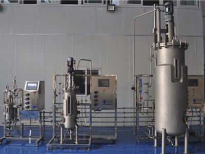 Biorreactor de laboratorio - BLBIO-50SJ-500SJ-250SJ-300SJ - KNIK CO.,LTD. - para la fermentación microbiana