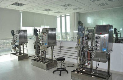 Biorreactor de laboratorio - 79 - KNIK CO.,LTD. - para la fermentación microbiana / de síntesis paralela