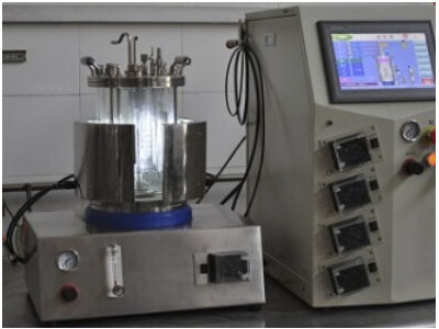 Fotobiorreactor de laboratorio - BLBIO-GCL series - KNIK CO.,LTD. - para la fermentación microbiana / apto para autoclave