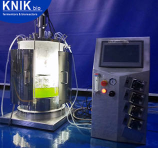 Fotobiorreactor de laboratorio - BIO-GCL series - KNIK CO.,LTD. - para la fermentación microbiana / apto para autoclave
