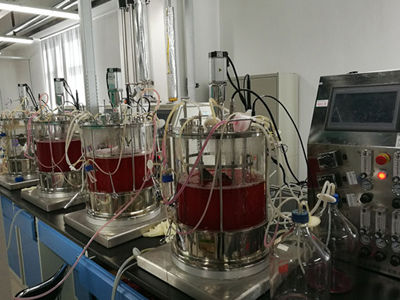 Biorreactor de laboratorio - KNIK CO.,LTD. - para cultivos celulares / apto para autoclave