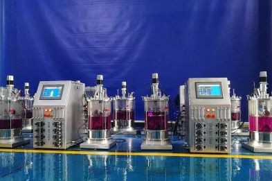 Biorreactor batch - 135 - KNIK CO.,LTD. - continuo / de laboratorio / para cultivos celulares
