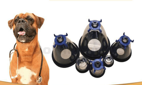 Máscara veterinaria de anestesia - Shandong Dolphinmed Technology - para roedores / para felinos / para caninos