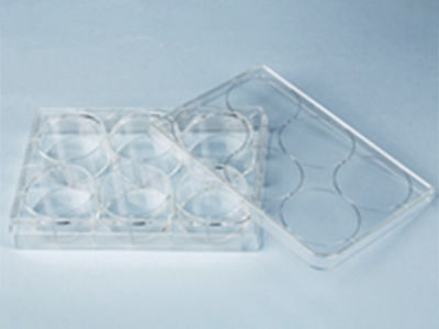 Microplaca de laboratorio - 40106 - BEAVER - de cultivo celular / de 96 orificios / de 24 orificios