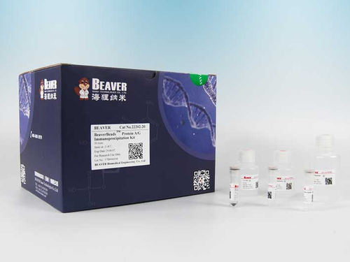 Reactivo plasma - BeaverBeads™ Protein A/G - BEAVER - de tejidos / de purificación de proteínas / de proteínas