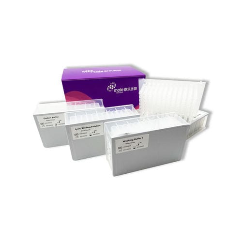 Kit de reactivos en solución - P087T00301 - Jiangsu Mole Bioscience - proteinasa K / solución tampón / de bolas magnéticas