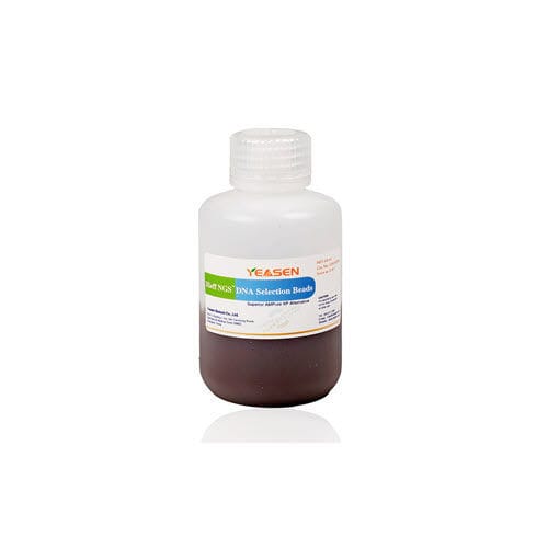 Reactivo en solución - Hieff NGS™  - Yeasen Biotechnology (Shanghai) Co., Ltd - de bolas magnéticas / NGS / para purificación de ADN