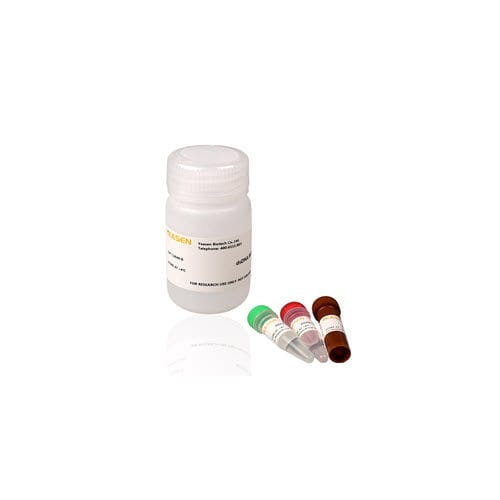 Kit de prueba para microbiología - 12640ES series - Yeasen Biotechnology (Shanghai) Co., Ltd - para cuantificación de ADN / para ADN / por fluorescencia
