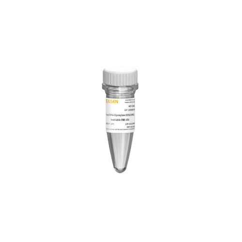 Reactivo para PCR - 10184ES series - Yeasen Biotechnology (Shanghai) Co., Ltd - ADN polimerasas / colorante / para microbiología