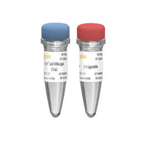Reactivo ADN ligasa - 10300ES series - Yeasen Biotechnology (Shanghai) Co., Ltd - para la investigación / de ATP
