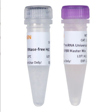 Reactivo ADN polimerasas - 11171ES series - Yeasen Biotechnology (Shanghai) Co., Ltd - colorante / para la investigación científica / para qPCR