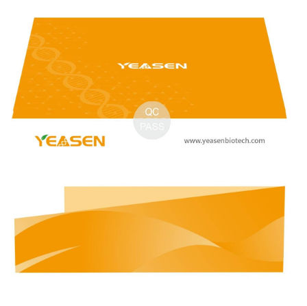 Kit de reactivos de preparación de bancos de ADN - Hieff NGS™ - Yeasen Biotechnology (Shanghai) Co., Ltd - en solución