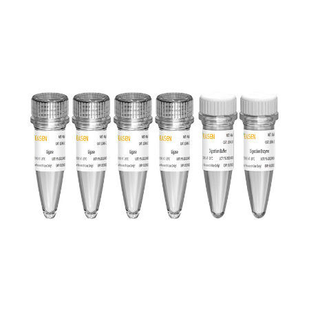 Kit de reactivos enzima - Hieff NGS™ - Yeasen Biotechnology (Shanghai) Co., Ltd - NGS / de preparación de bancos de ADN