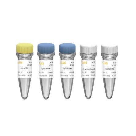 Kit de reactivos de preparación de bancos de ADN - Hieff  NGS™ OnePot II  - Yeasen Biotechnology (Shanghai) Co., Ltd - enzima / NGS / de genes