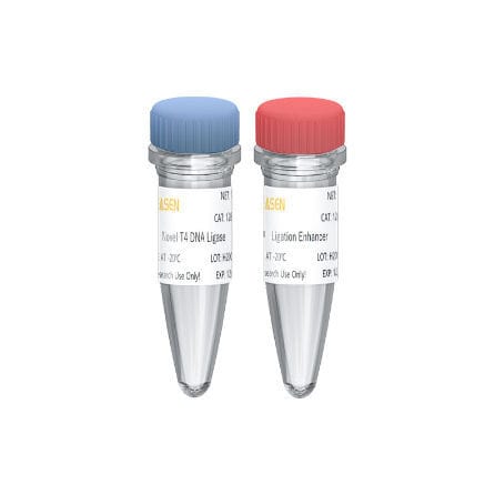 Kit de reactivos ADN ligasa - Hieff NGS™ - Yeasen Biotechnology (Shanghai) Co., Ltd - para la investigación / para secuenciación de ADN