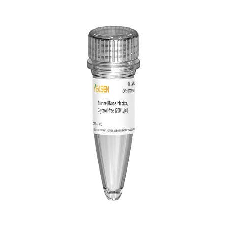 Reactivo inhibidor de RNasa - 10703ES series - Yeasen Biotechnology (Shanghai) Co., Ltd - para transcripción in vitro / liofilizado